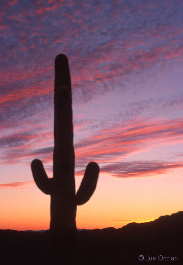 [atmospheric_010309_03.jpg]