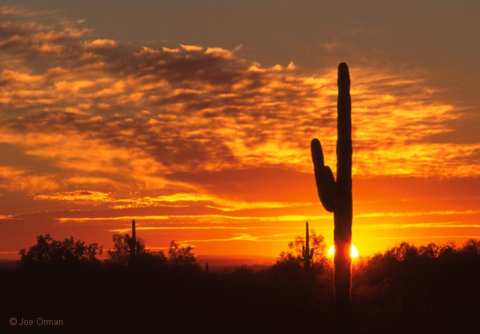 [atmospheric_041127_08.jpg]