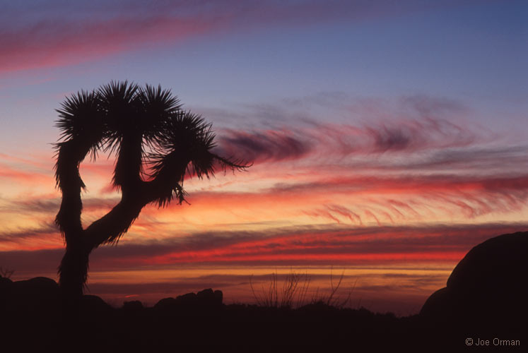 [atmospheric_070310_07.jpg]