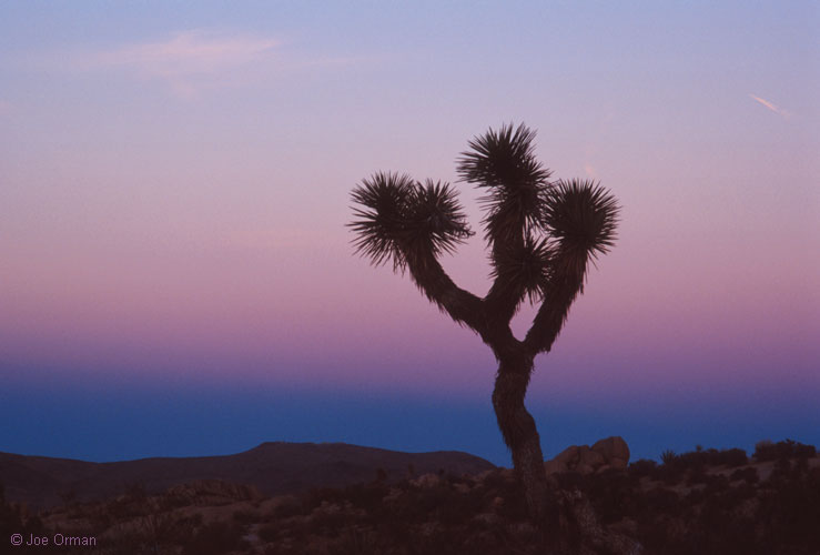 [atmospheric_07311_18.jpg]