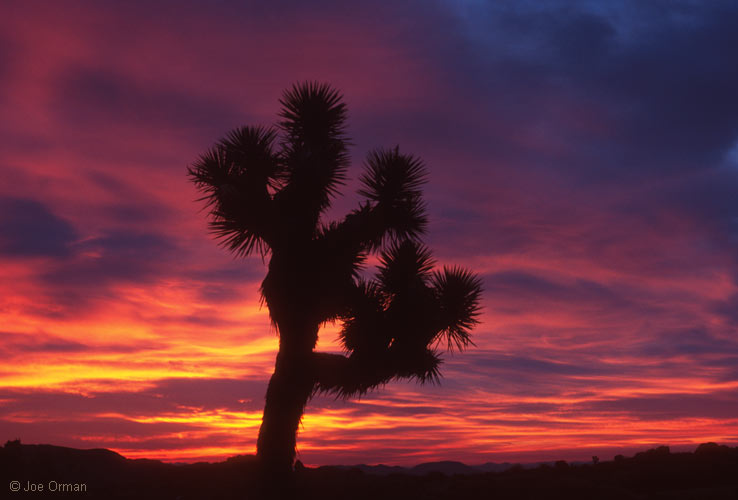 [atmospheric_080313_23.jpg]