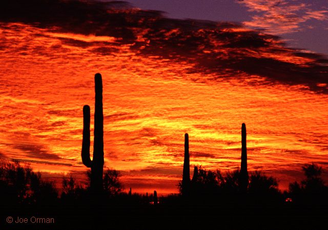 [atmospheric_09.jpg]