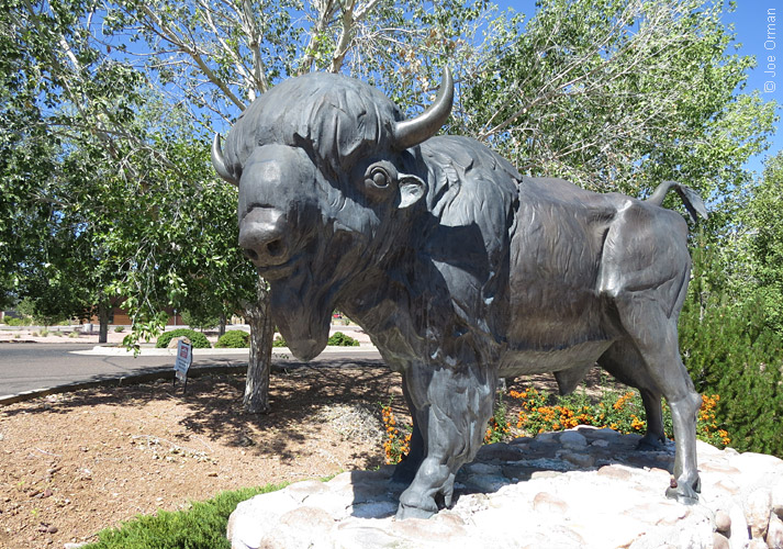 [SX50_IMG_30895.jpg]