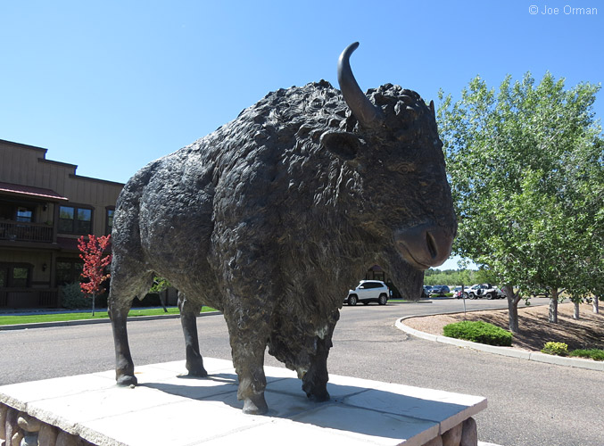 [SX50_IMG_30903.jpg]