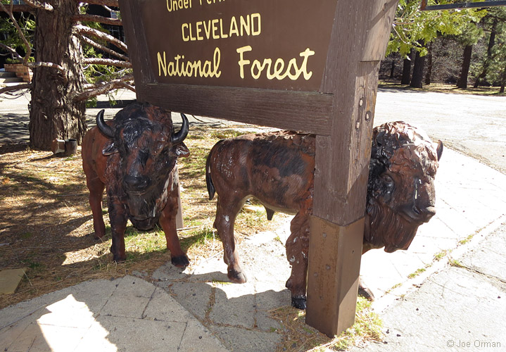 [SX50_IMG_33517.jpg]