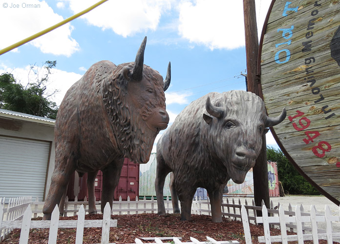 [SX50_IMG_36448.jpg]