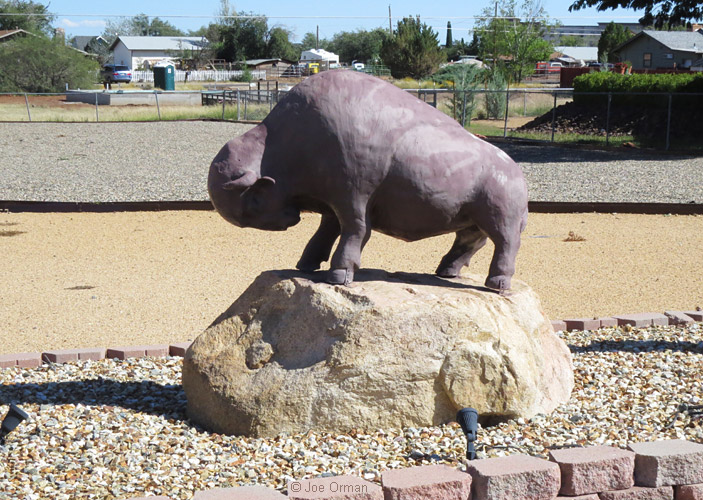 [SX50_IMG_36684.jpg]