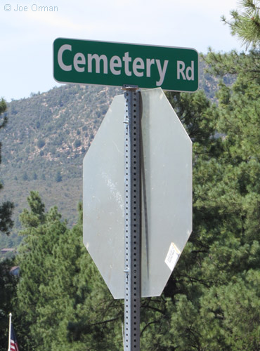 [bizarre_pinecemetery2.jpg]