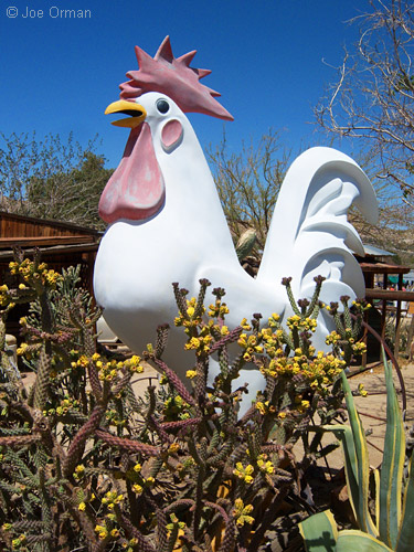 [V803_100_7418_mod.jpg]