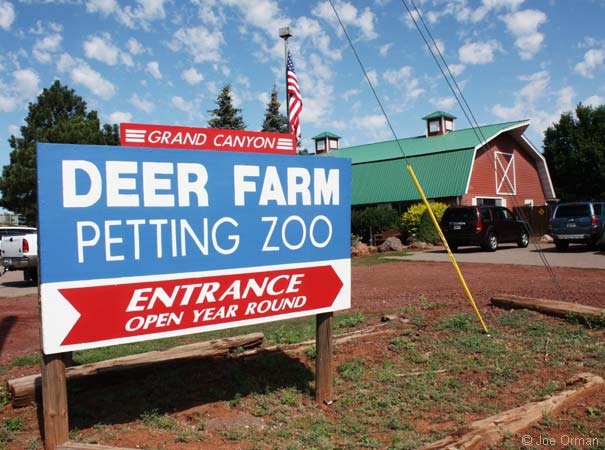 [bizarre_66flag-wil_0775.jpg]