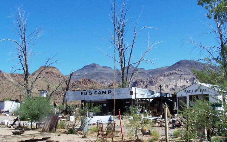 [bizarre_66king-top_7887.jpg]