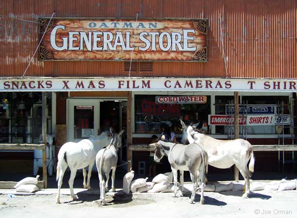 [bizarre_66king-top_7936.jpg]