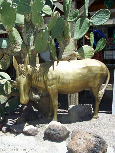 [bizarre_66king-top_7956.jpg]