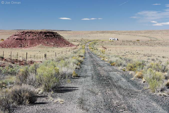 [bizarre_66lup-pet_1644.jpg]