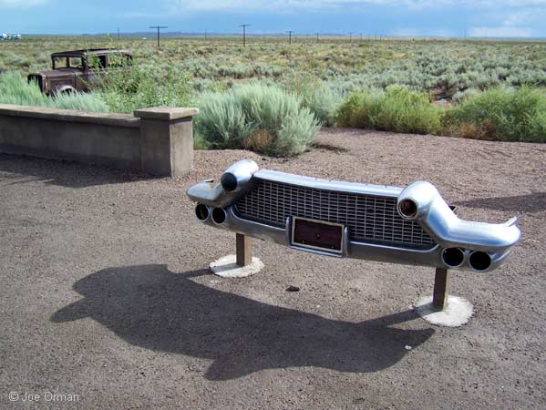 [bizarre_66petrified_7217.jpg]