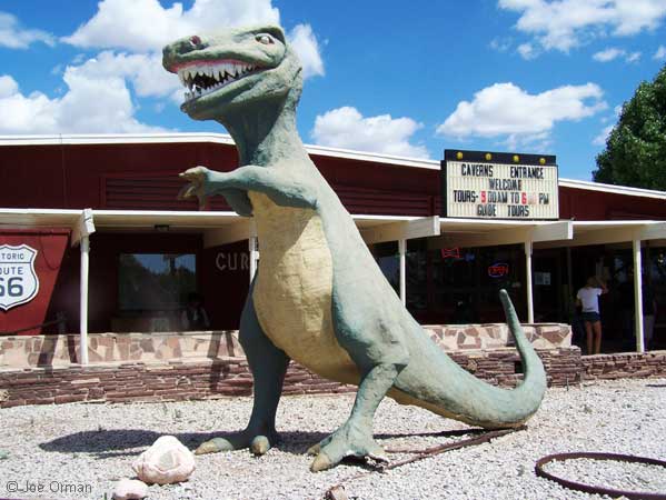 [bizarre_66sel-king_7783.jpg]