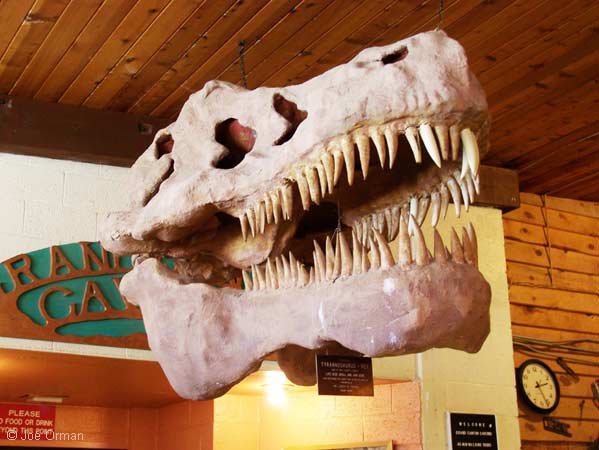 [bizarre_66sel-king_7785.jpg]