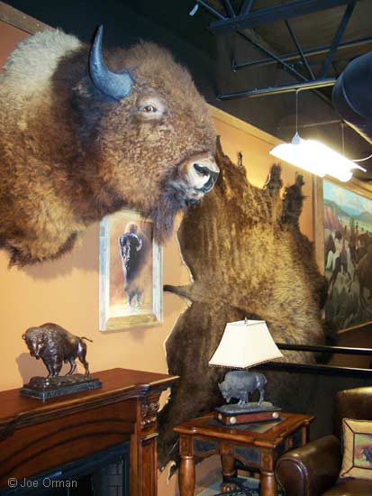 [bizarre_bisonmuseum2.jpg]