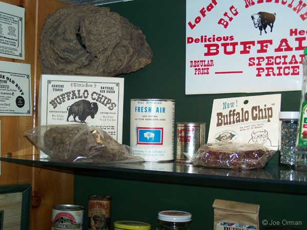[bizarre_bisonmuseum4.jpg]