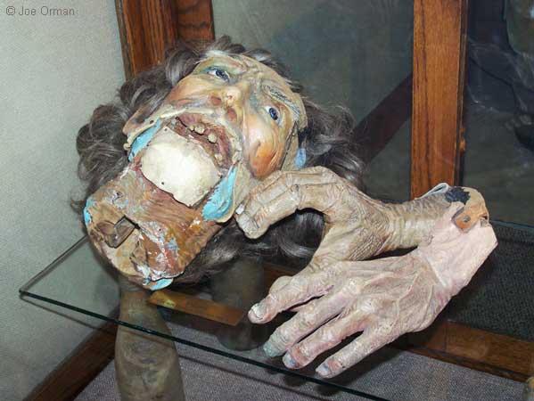 [bizarre_bisonmuseum6.jpg]