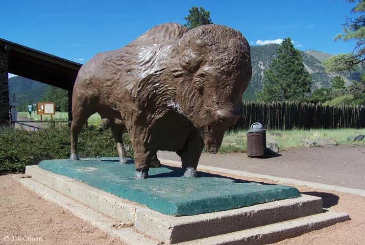 [bizarre_buffalostatues1.jpg]