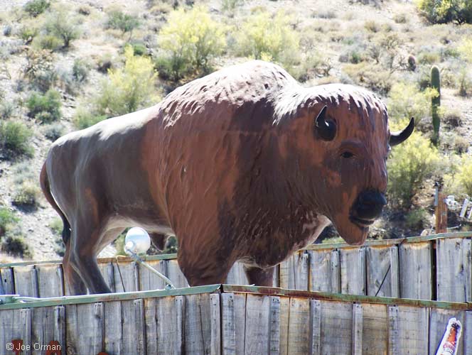 [bizarre_buffalostatues12.jpg]