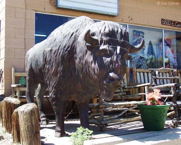 [bizarre_buffalostatues13.jpg]