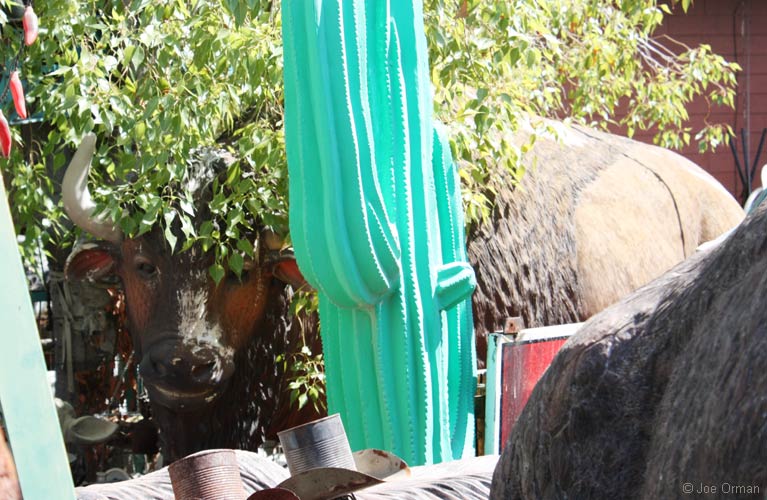 [bizarre_buffalostatues14.jpg]