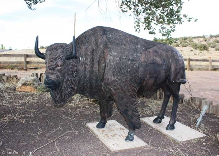 [bizarre_buffalostatues16.jpg]