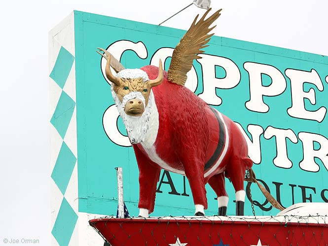 [bizarre_buffalostatues18.jpg]