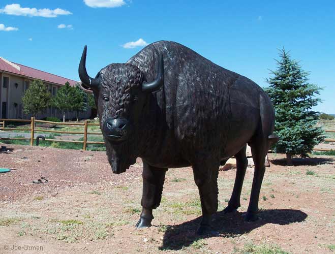 [bizarre_buffalostatues2.jpg]