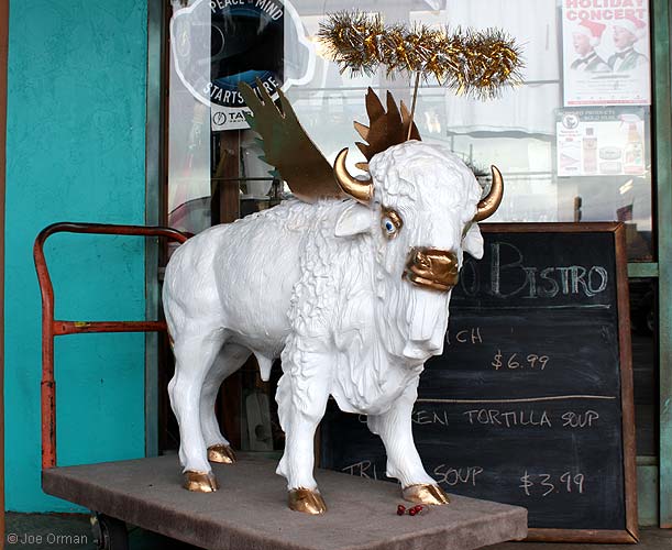 [bizarre_buffalostatues20.jpg]