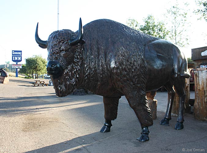 [bizarre_buffalostatues21.jpg]