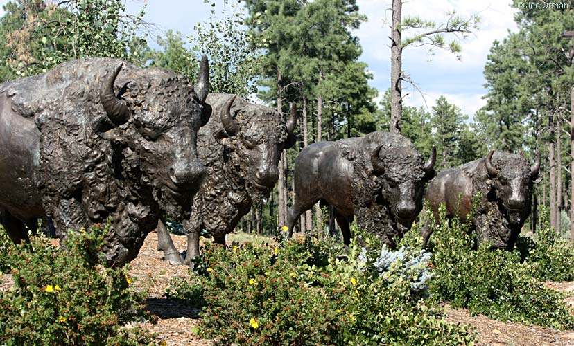 [bizarre_buffalostatues24.jpg]