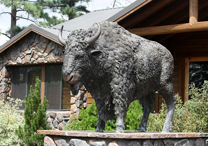 [bizarre_buffalostatues25.jpg]