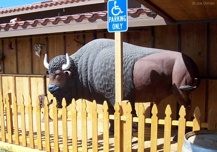 [bizarre_buffalostatues27.jpg]