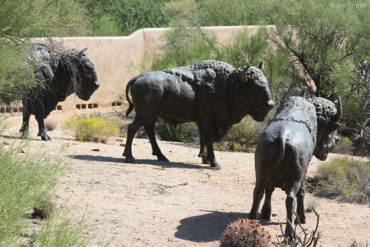 [bizarre_buffalostatues28.jpg]