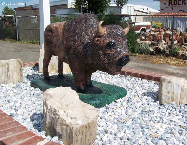 [bizarre_buffalostatues3.jpg]