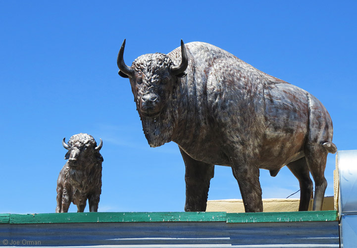 [bizarre_buffalostatues35.jpg]