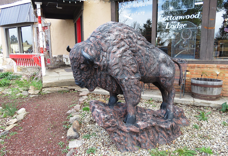 [bizarre_buffalostatues38.jpg]