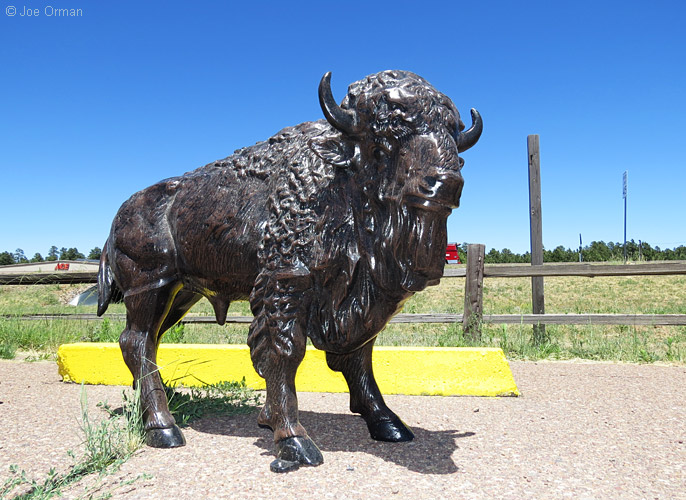 [bizarre_buffalostatues39.jpg]