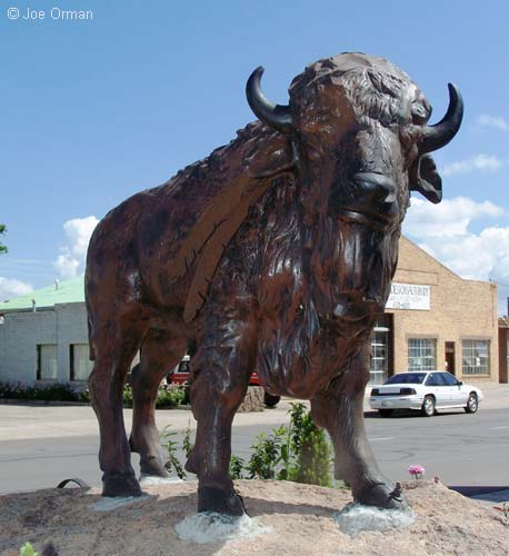 [bizarre_buffalostatues4.jpg]
