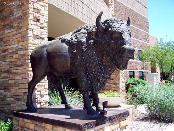 [bizarre_buffalostatues6.jpg]