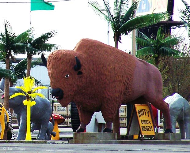 [bizarre_buffalostatues8.jpg]