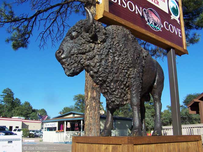 [bizarre_buffalostatues9.jpg]