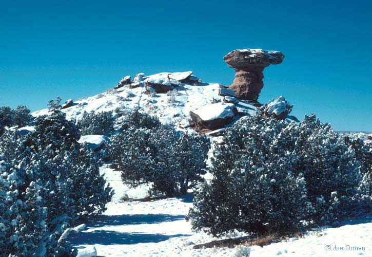 [bizarre_camelrock.jpg]