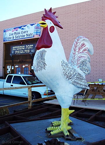 [bizarre_chickens11.jpg]