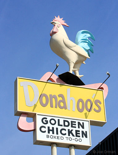 [bizarre_chickens14.jpg]