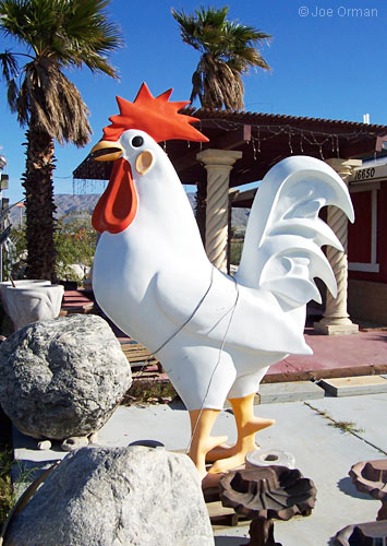 [bizarre_chickens16.jpg]