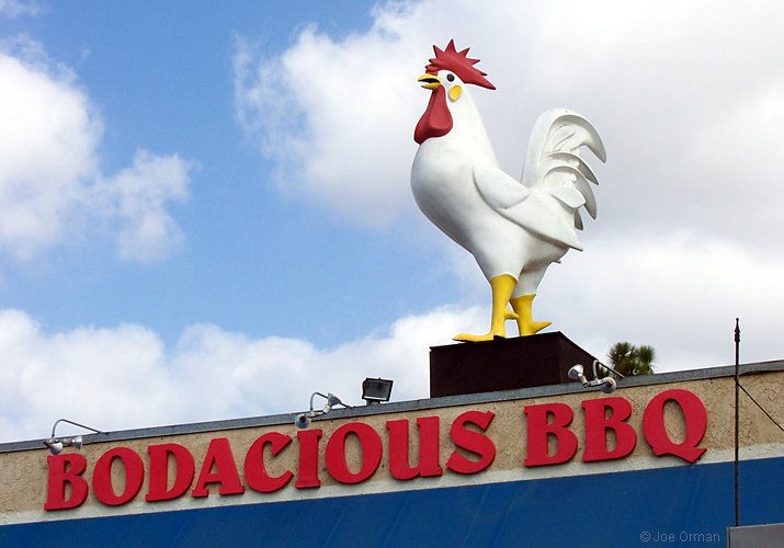 [bizarre_chickens17.jpg]